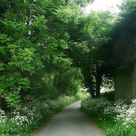 Millgate Masham